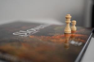 Celje Center Apartment