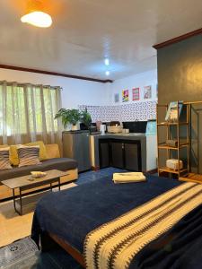 Grey Pad - Beachfront Property