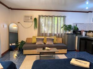 Grey Pad - Beachfront Property