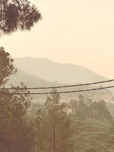 Cozy hill view solan