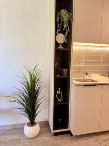 Seguridad Descanso Tranquilidad