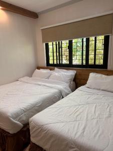 Triple Tree Apartelle