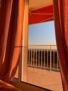 Appartements Beach sand pines calme : photos des chambres