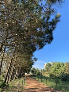 Appartements Beach sand pines calme : photos des chambres