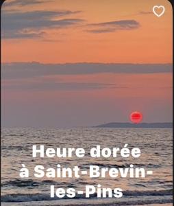 Appartements Beach sand pines calme : photos des chambres