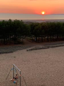 Appartements Beach sand pines calme : photos des chambres