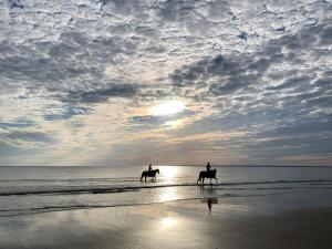 Appartements Beach sand pines calme : photos des chambres