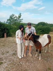 Seosko domaćinstvo STAREVINA