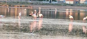 B&B / Chambres d'hotes Chez Eugenia & Frederic : photos des chambres