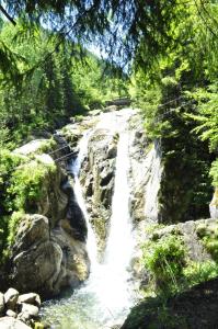 Cabana Cascada Cârnic