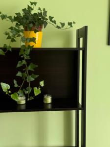 ClickOnTheCozyLime room pokoje Czechów