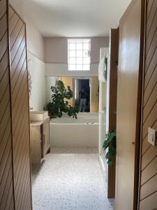 Maisons de vacances Maison Jardin des Plantes Le Mans : photos des chambres