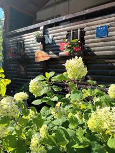 Vila Carmen kuća za odmor sa wellnessom,Sunger