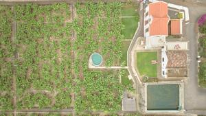 Hacienda Los Orovales