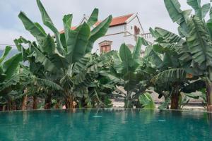 Hacienda Los Orovales