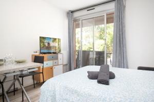 Appartements Studio pour 2 a Toulouse avec Parking et Terrasse : photos des chambres