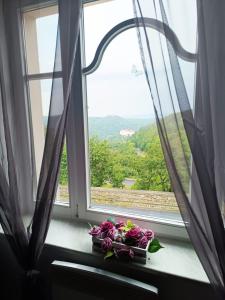 Pension Panorama