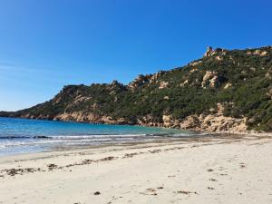 Appartements T2 d'exception 100m plage terrasse vue mer et montagnes : Appartement 1 Chambre