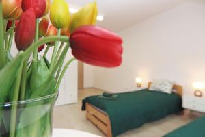 Centrum Edukacji Ekologiczno-Turystycznej