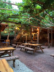 Olympos Natural Pansiyon