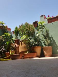 Maison cœur blu dAgadir