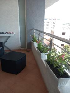 APARTMENTS ANI Ester