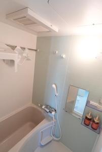 Geisha Blue IMAIKE 2