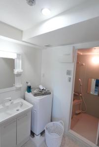 Geisha Blue IMAIKE 2