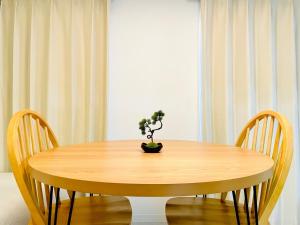 Geisha Blue IMAIKE 2