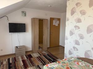 Pensiunea Vladut Timisoara