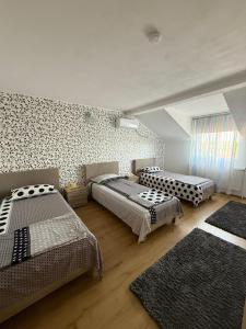 Pensiunea Vladut Timisoara