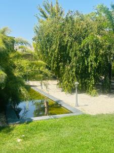 La Maison dAlys - Le Cagnard