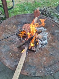 Letní chata u staré cihelny