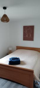 Maisons de vacances Les Magnolias : photos des chambres