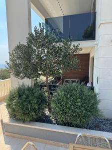 Luxury Beachfront Villa Carlisa