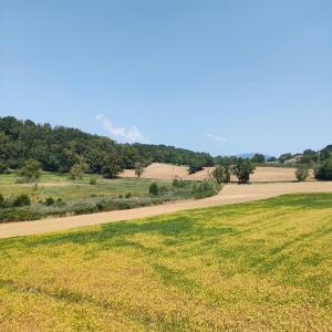 Appartements Somptueux * * proche du lac avec parking prive : Appartement 1 Chambre