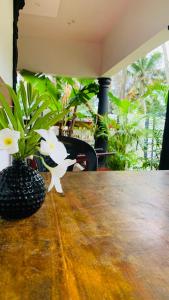 Shoreline Marari Beach Villa At Golden Beach Mararikulam