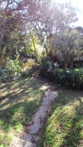 Luminosa cercana a todo Promos increibles