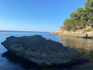 Wonderful Seaview Apartment