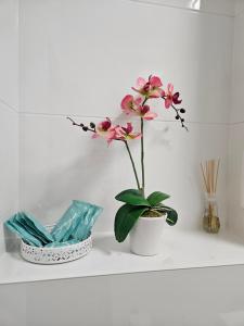 3 pokoje koło Parku przy Żwirki