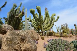 Lantana Resort Hotel&Apartments img72