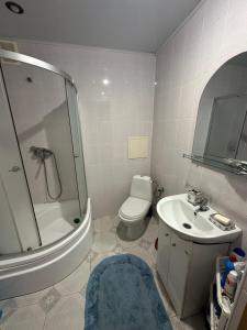 Затишна 1 кімнатна квартира Трускавець