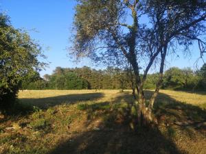B&B / Chambres d'hotes Chambre a louer : photos des chambres