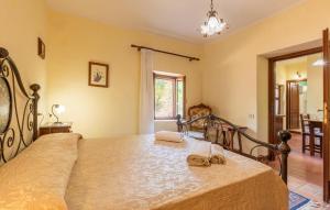 Pet Friendly Apartment