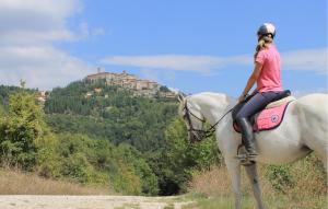 Pet Friendly Apartment