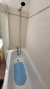 Appart 4 pers pied des pistes- lEcrin-les BERGERS- Chez Lexy