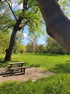 2 Pieces Mer Jardin & terrasse