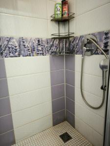 Border studio Aleksandri