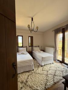 Vytina Mont et Sapin