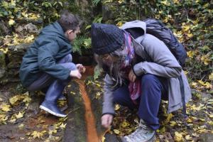 Lodges Ecogites Camparols : photos des chambres